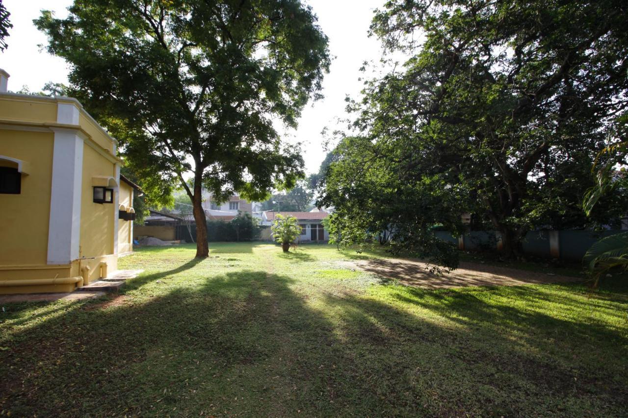 Laika Heritage Stay Mysore Eksteriør billede
